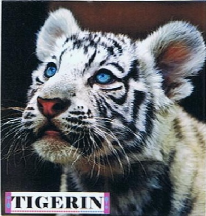 Tigerin